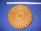 Maskenbilder 046.jpg